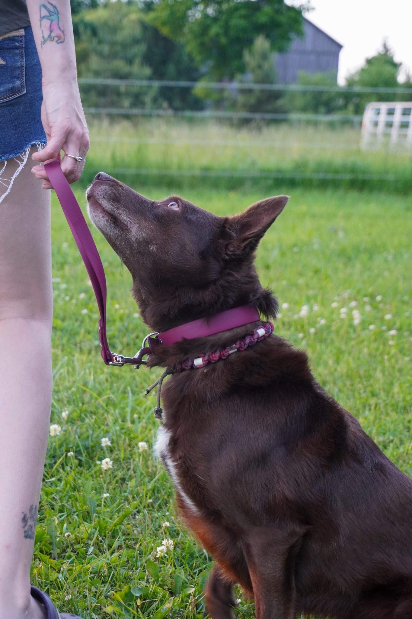 Grab Handle / traffic Handle