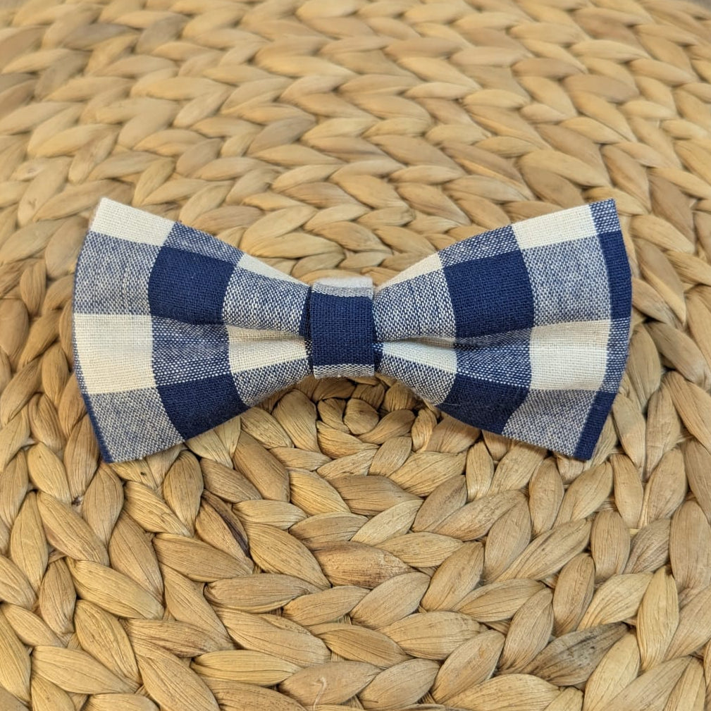 Blue and Beige Gingham