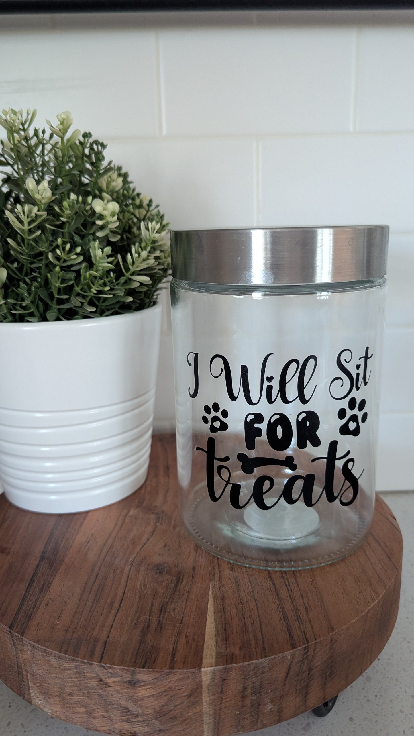 I will sit for treats