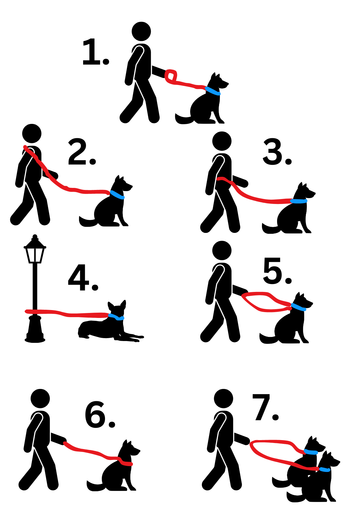 All In One Multi Leash