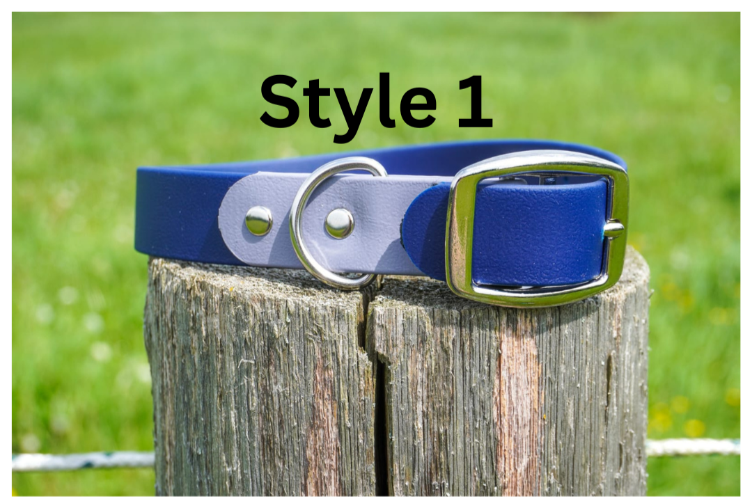 Two Tone Classic buckle Collar