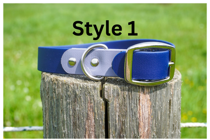 Two Tone Classic buckle Collar