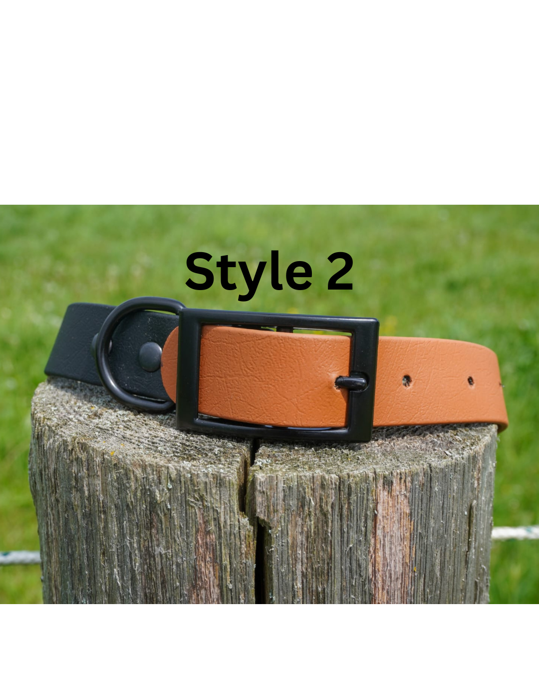 Two Tone Classic buckle Collar