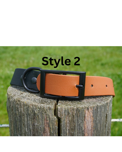 Two Tone Classic buckle Collar
