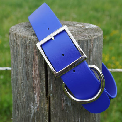 Wide Basic Buckle Collar