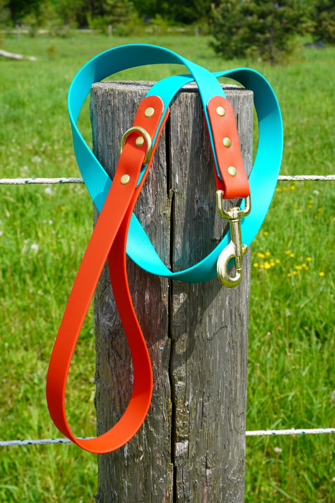 Two Tone Classic Leash