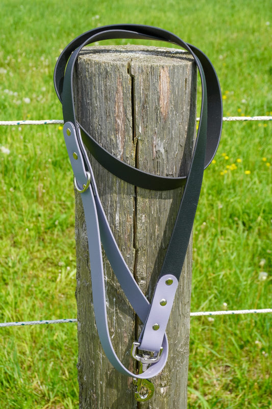 Two Tone Classic Leash