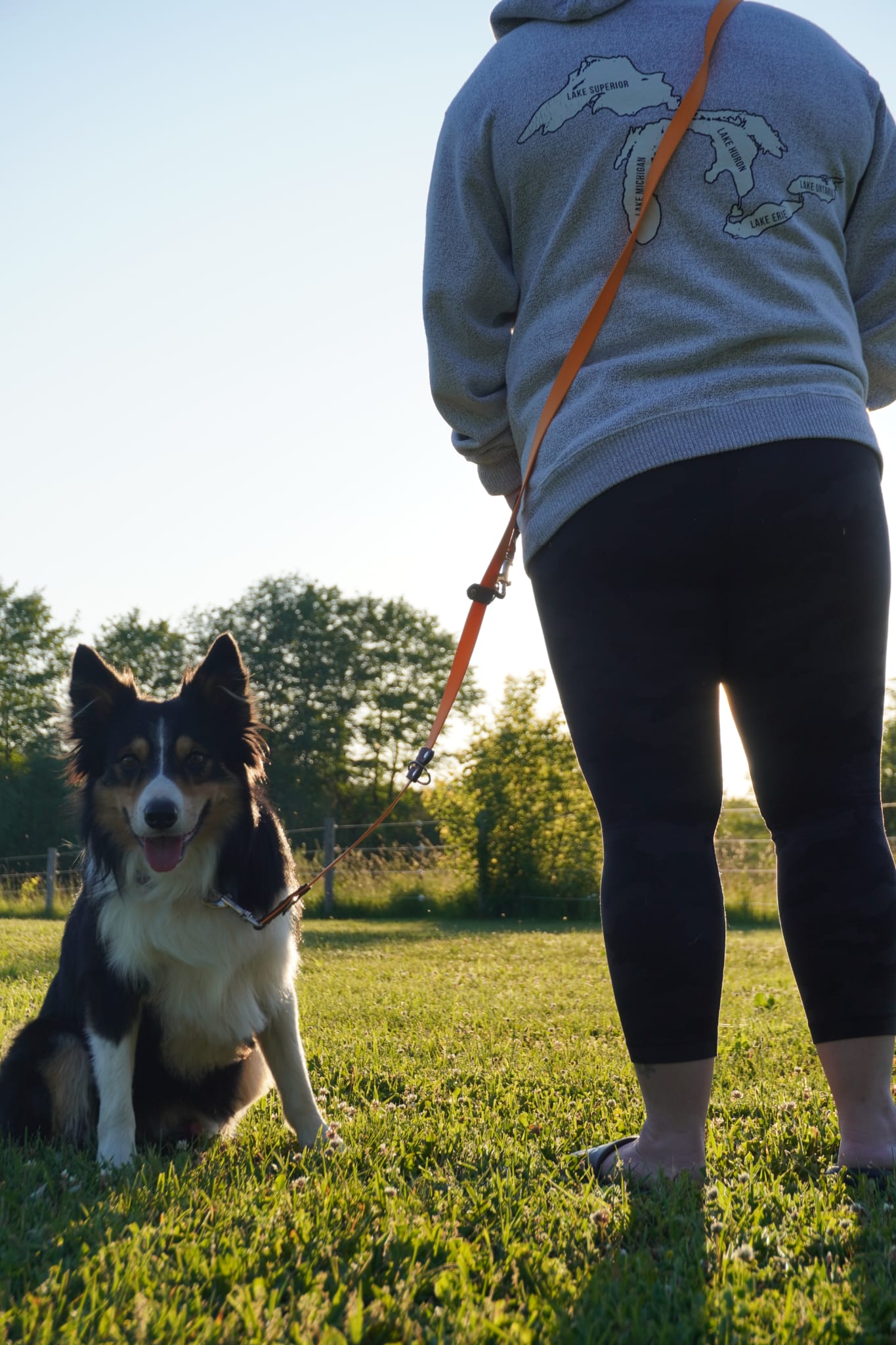 All In One Multi Leash