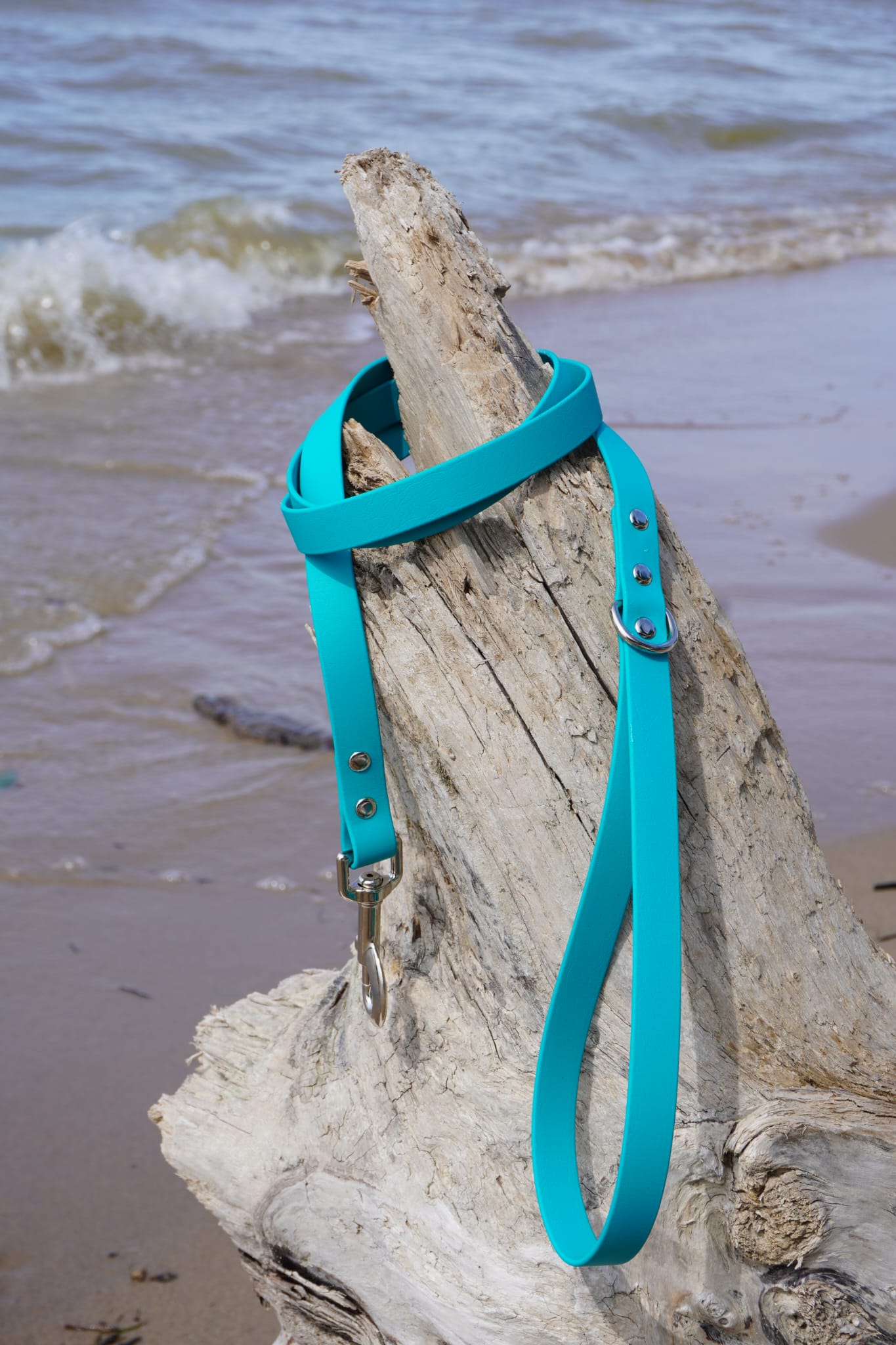 Classic Leash