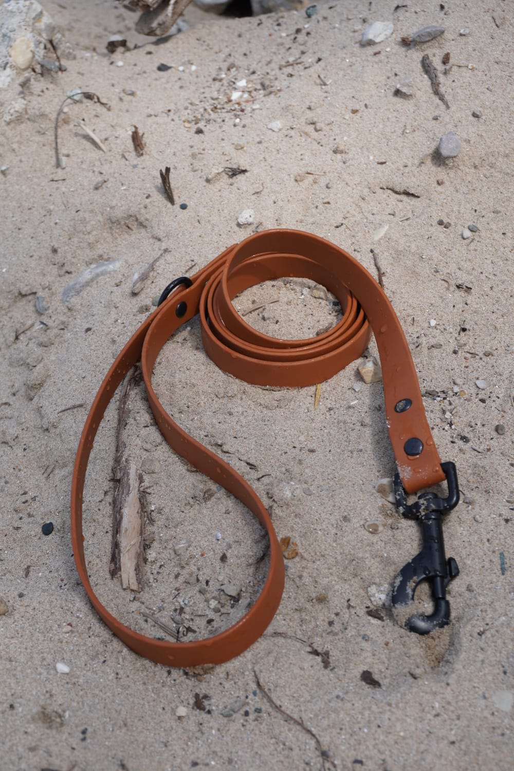 Classic Leash