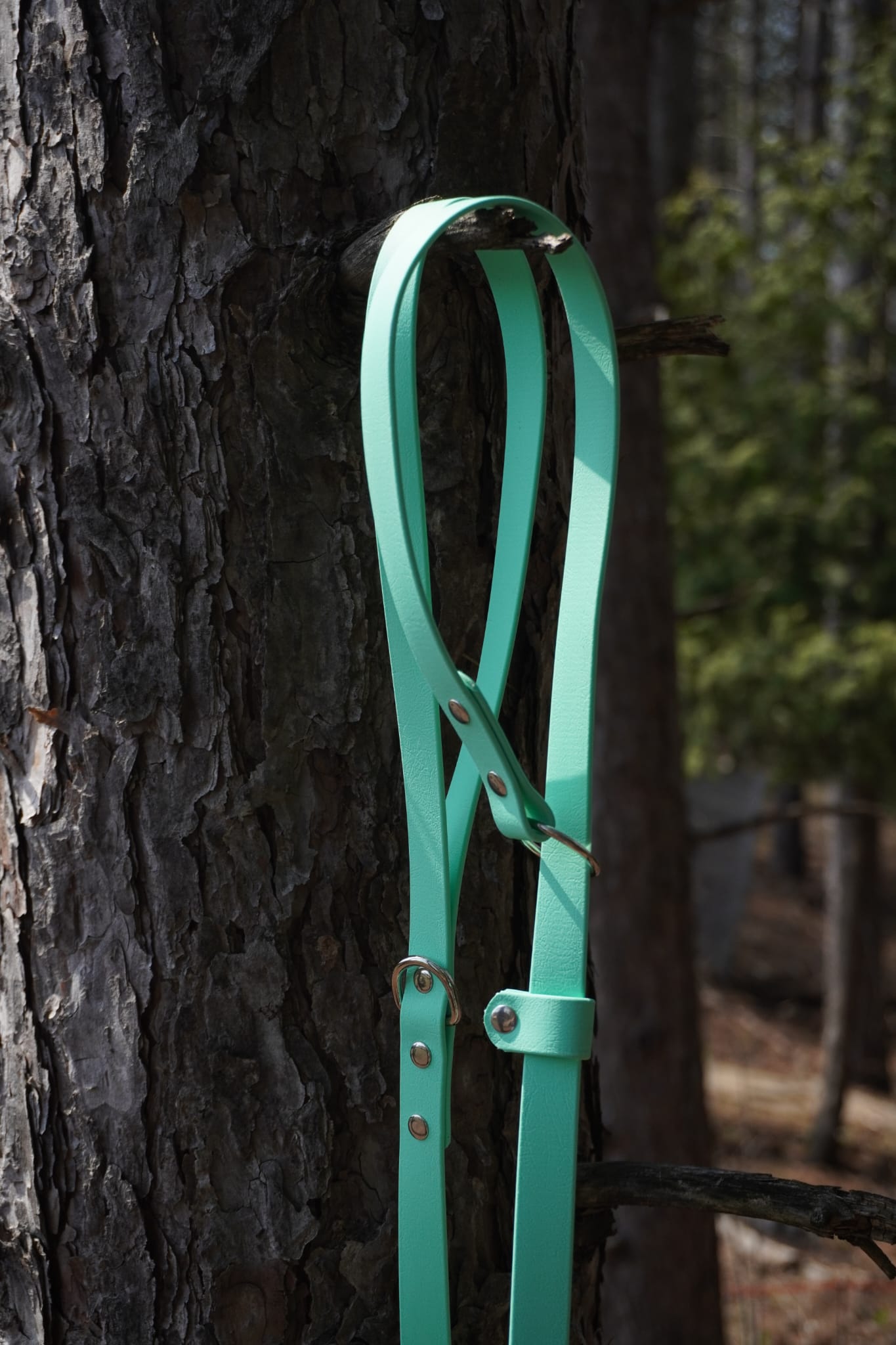 Slip Leash