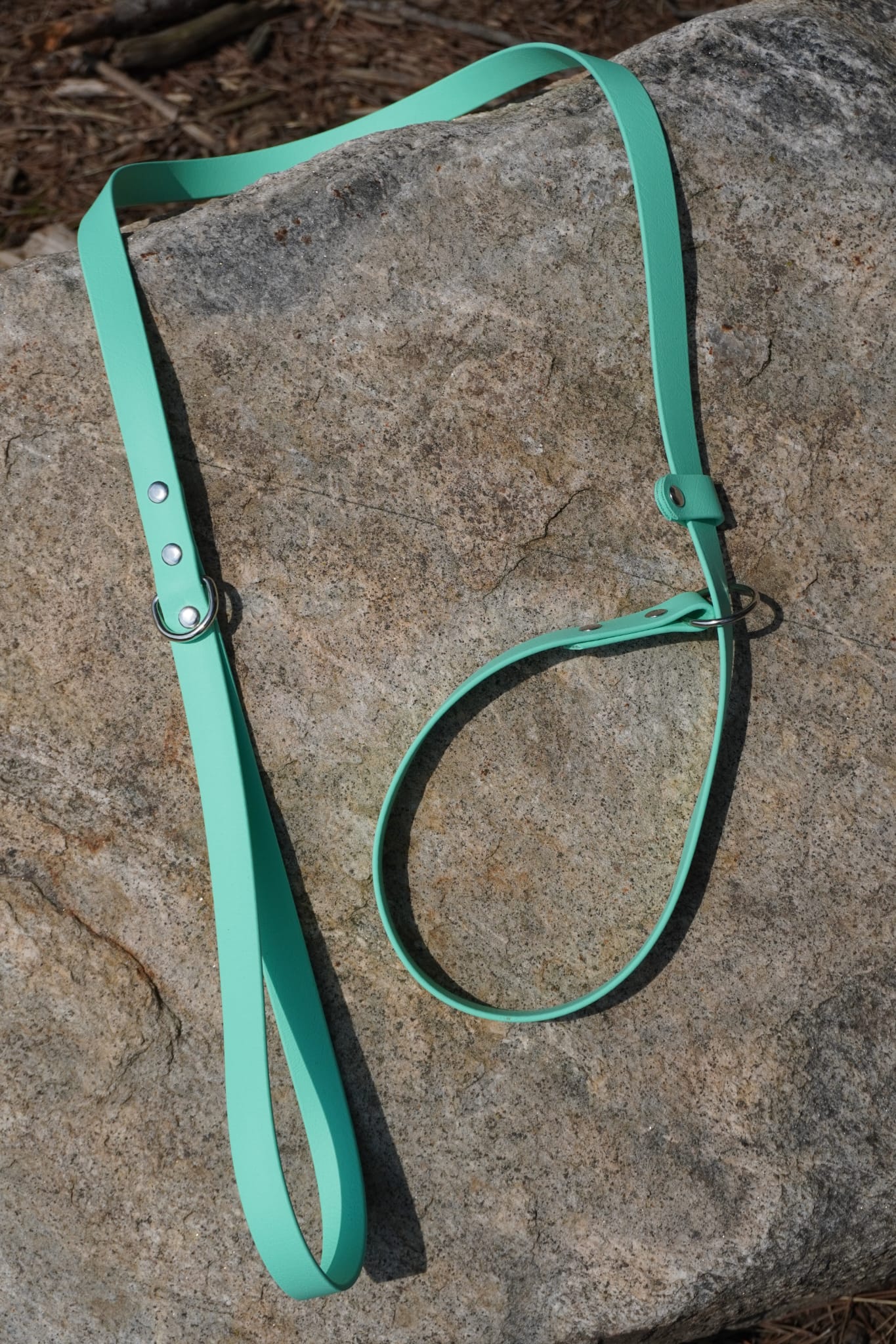 Slip Leash