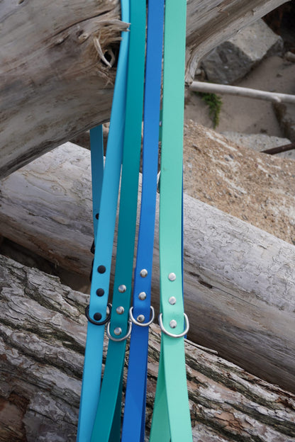 Classic Leash