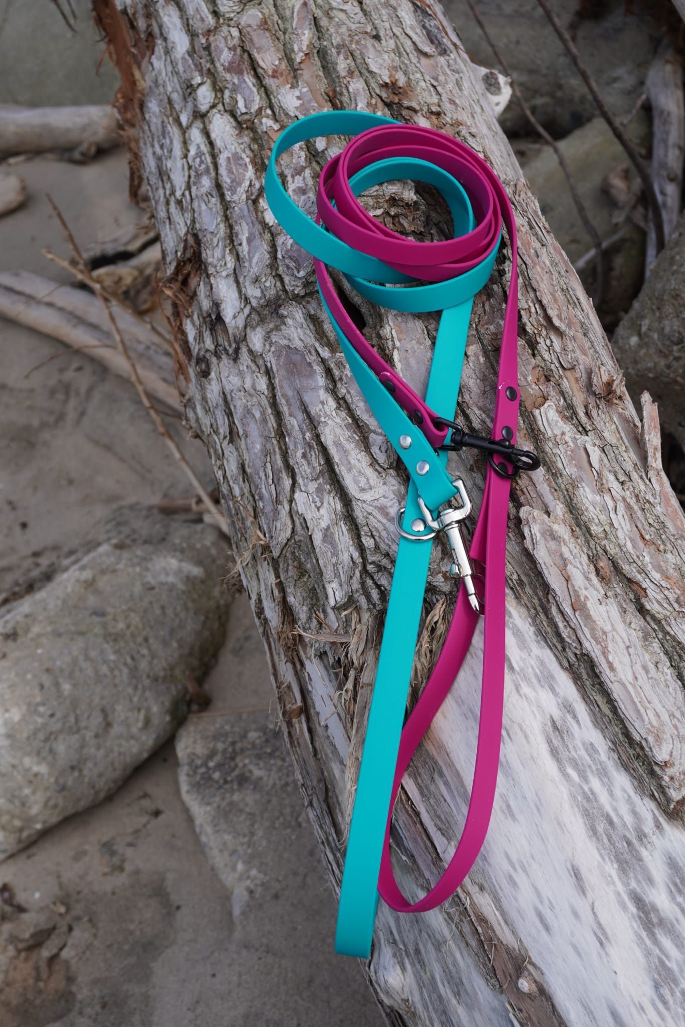 Classic Leash