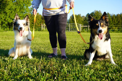 All In One Multi Leash